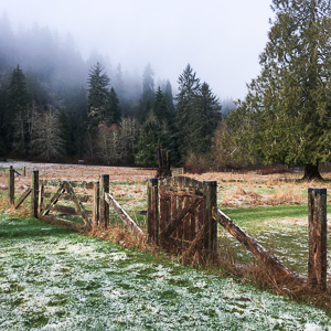 Cow pasture below the studio